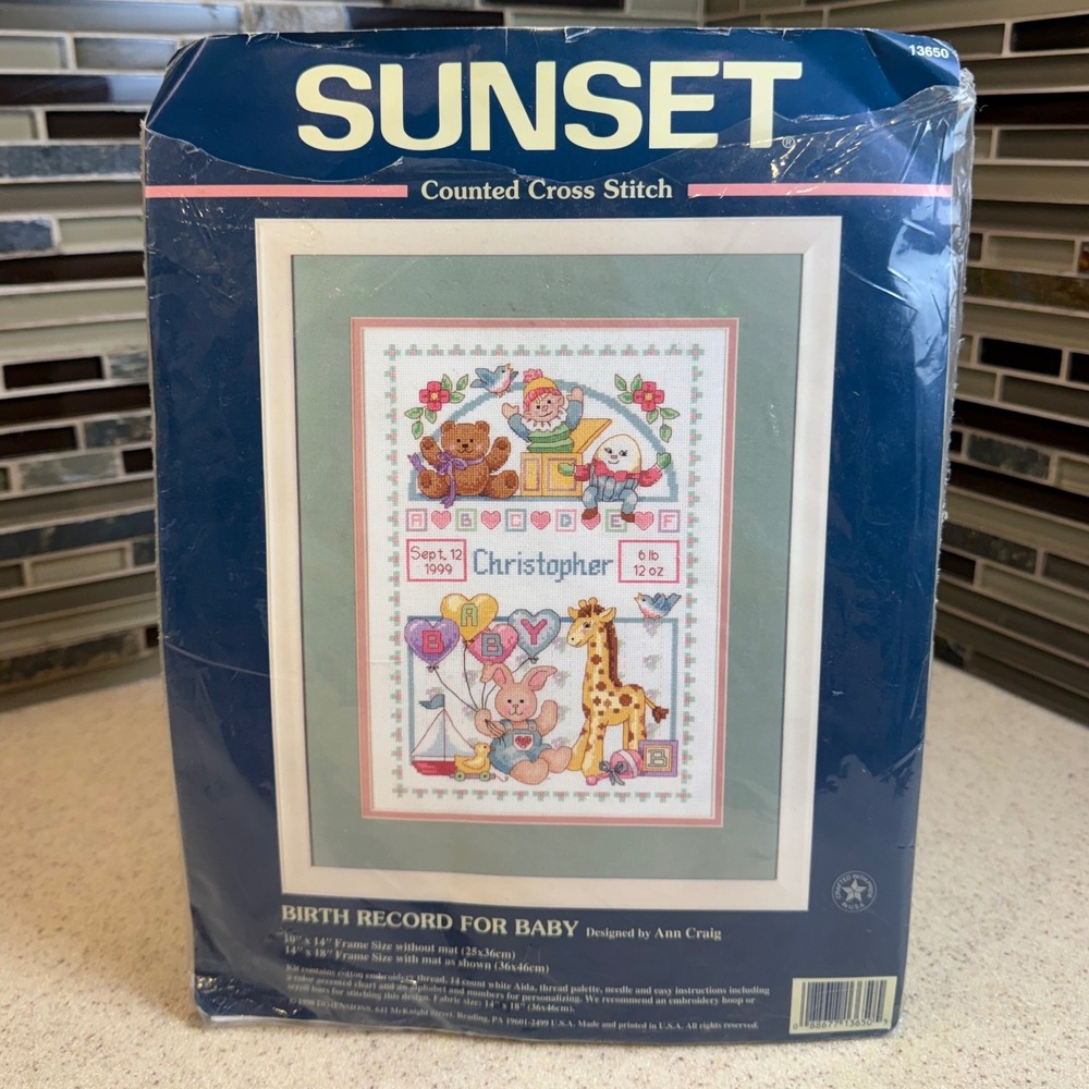 VTG 1998 Sunset Counted Cross Stitch Birth Record For Baby Kit 13650 Ann Craig